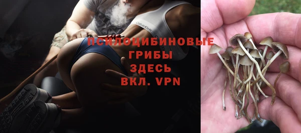 тгк Балахна